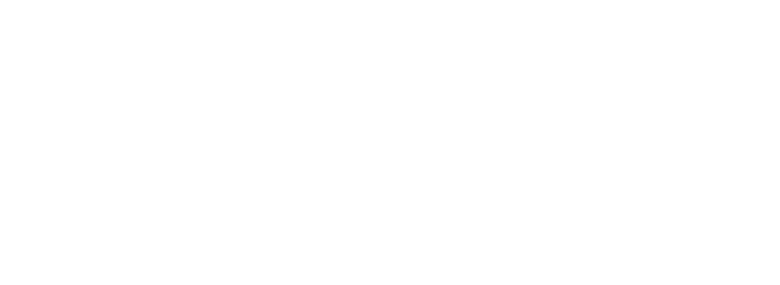 Veggie Vánoce | Vegan Christmas